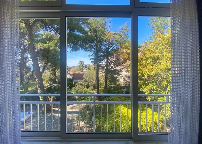 - 50m From The With Free Parking Appartement