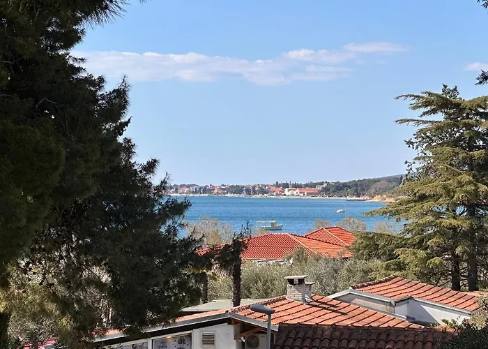 Appartement - 50m From The With Free Parking *