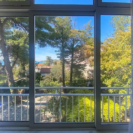 - 50m From The With Free Parking Appartement