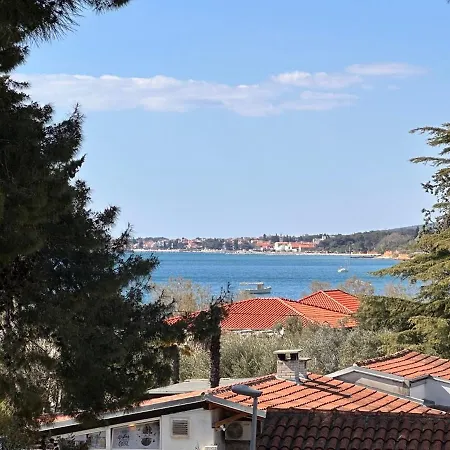 Appartement - 50m From The With Free Parking *